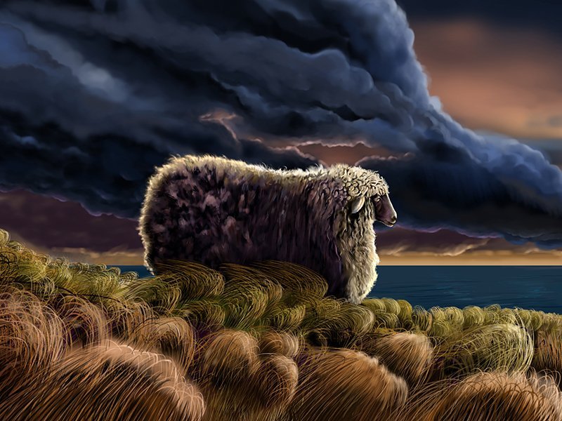 Lost+Sheep+digital